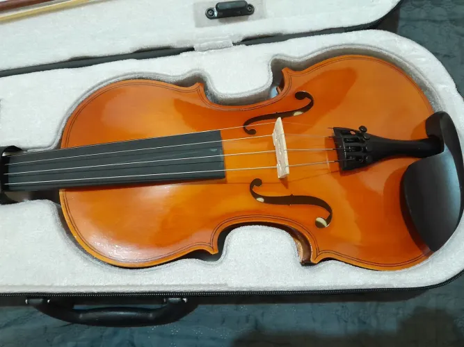 Violino scarlet 4x4