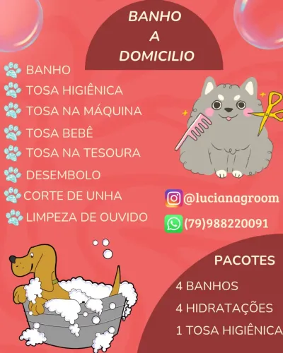 BANHO E TOSA A DOMICILIO 