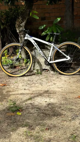 Bicicleta Absolute aro 29