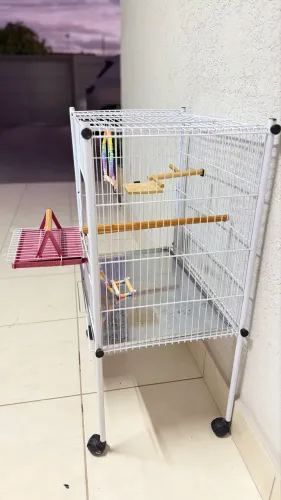 Gaiola para aves