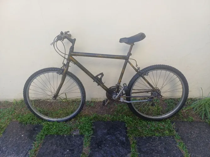 Bicicleta