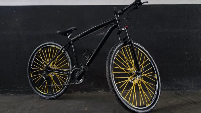 Bicicleta aro 29