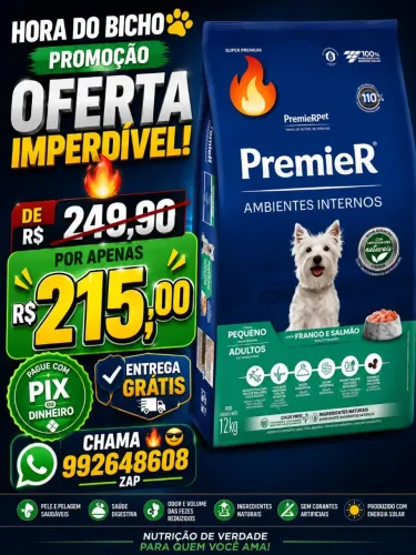 PREMIER AMBIENTES INTERNOS