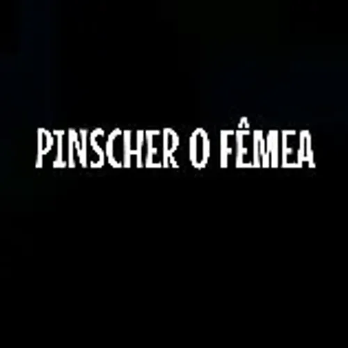 PINSCHER 0 FÊMEA 