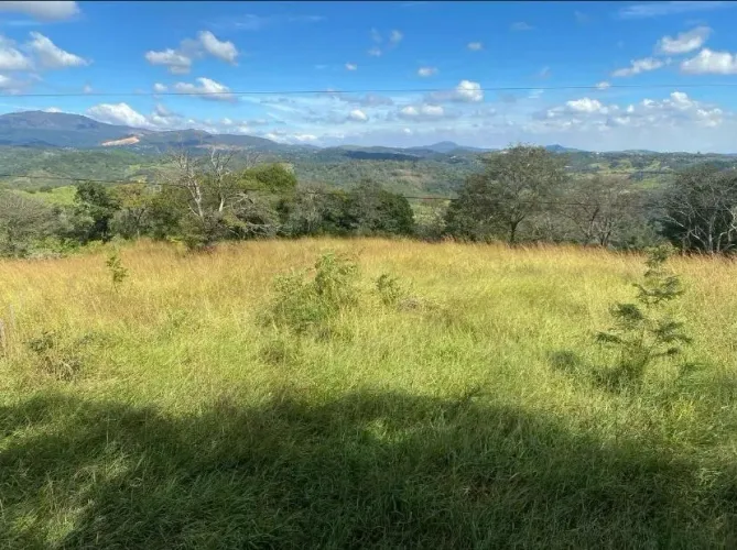 Excelente terreno de 20.000 metros em Taquaraçu de Minas