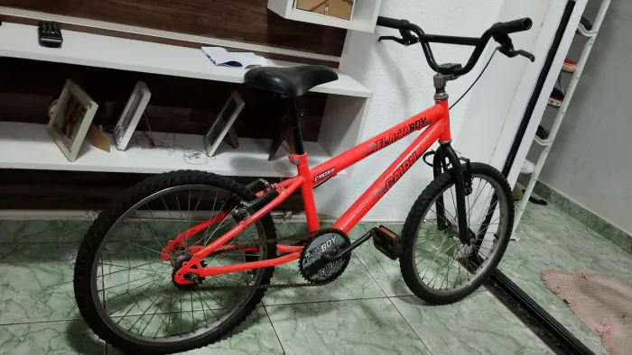 Bicicleta
