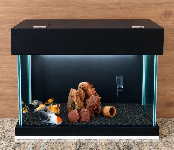 AQUÁRIO 60 LITROS COMPLETO- (LEIA DESCRIÇÃO EM ANÚNCIO) 