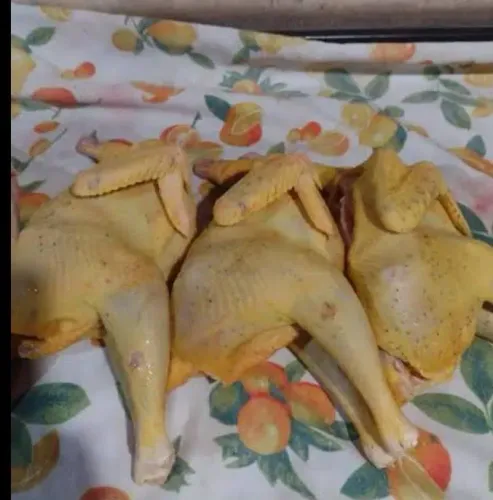 Frango e galinha caipira