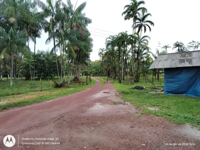 granja pra 30 mil bicos automatizada  há 38 km de Belém R$ 1.900.000