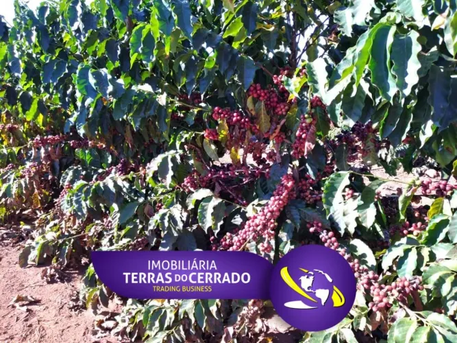 FAZENDA ALTAMENTE PRODUTIVA COM 470HECTARES, CAFE E SOJA IRRIGADA!!