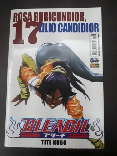 Mangá Bleach 17 - Editora Panini