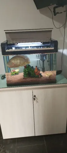 Aquário BOYU 100 litros -Completo