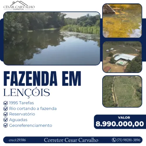 FAZENDA EM LENÇÓIS - 1995 TAREFAS
