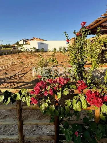 Terreno à venda, Estrada Da Tapera, 500m Brisas do Rio PETROLINA - PE