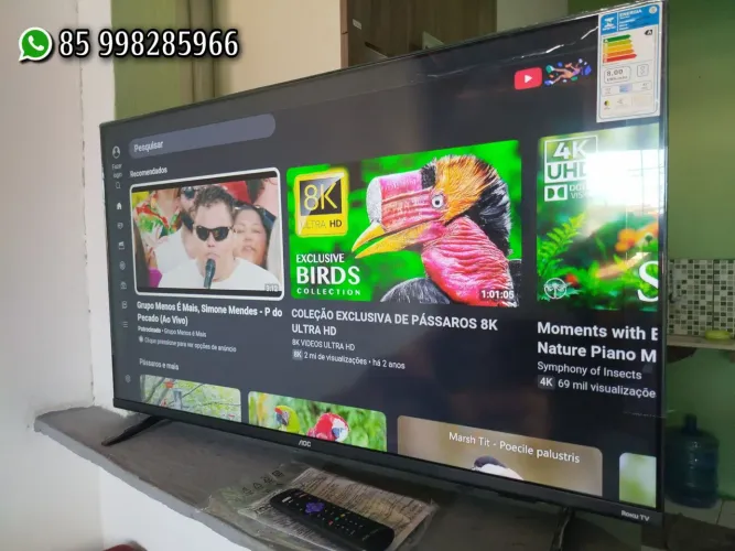 Smart tv 43 polegadas nova nos plásticos 