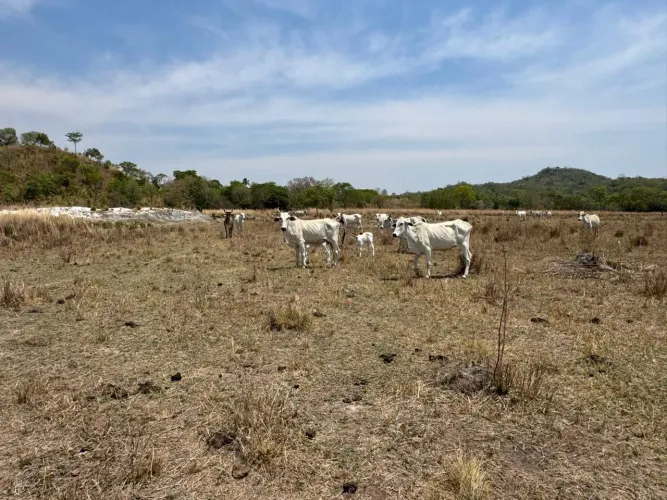 Sítio em em Araguapaz 