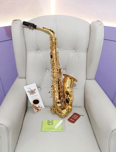 Saxofone Alto Hofma HSA400 by Eagle NOVO NA CAIXA