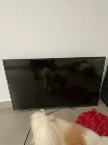 TELEVISÃO