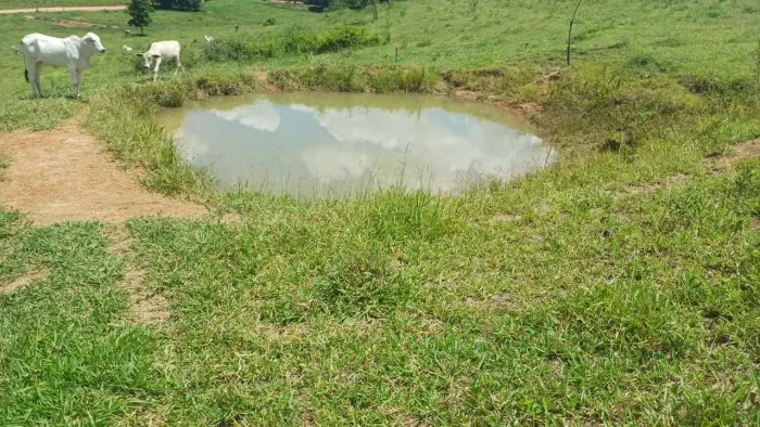 SÍTIO À VENDA EM SEBASTIANÓPOLIS DO SUL/SP | 9,3 HECTARES | VOCAÇÃO PARA PECUÁRIA R$ 1.000