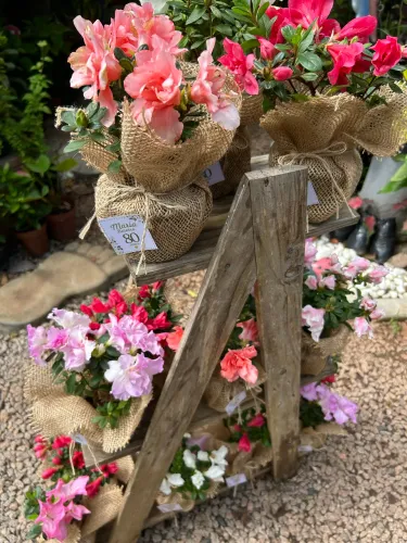 Lembrancinhas para casamento