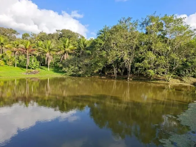 Sítio em Chã Grande 3.2 ha (32.000m²) - RG Imobiliária/M. Maciel