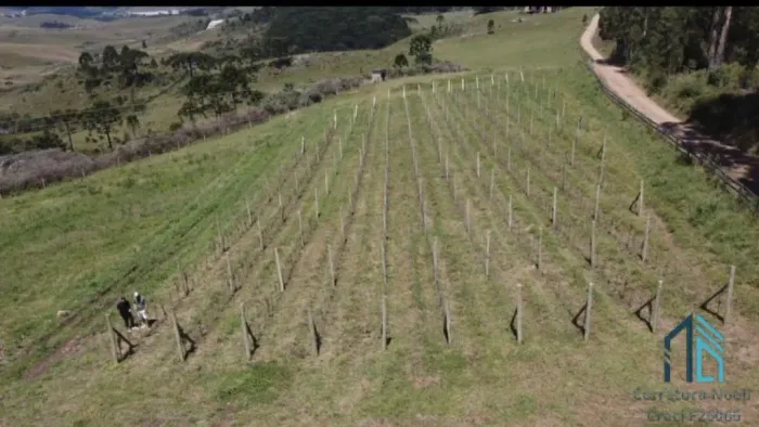 - Fazenda, Vinícola, Sítio, A VENDA, próximo ao centro de São Joaquim SC