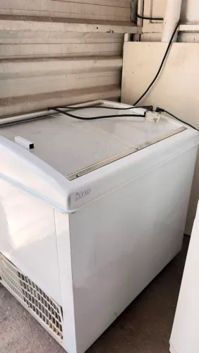 Freezer horizontal