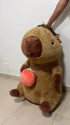 Capivara Gigante 