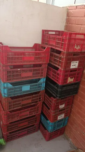 Lote 23 Caixas Plásticas Hortifrúti (Seminovo) - 17cm Altura