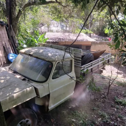 Chevrolet C-10 2.5/4.1 1979