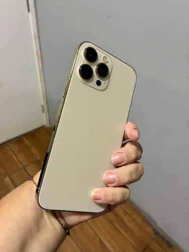 13 pro Max