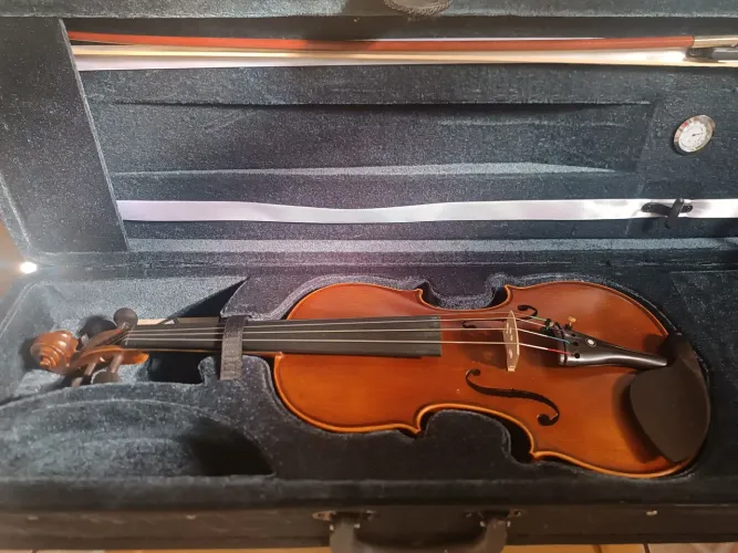 Violino Vivace