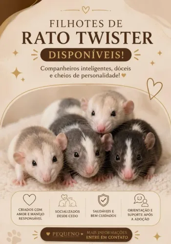 Ratinhos Twister 