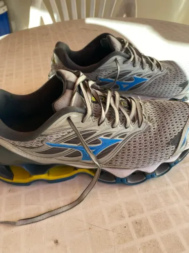 Mizuno wave profecy 11 s