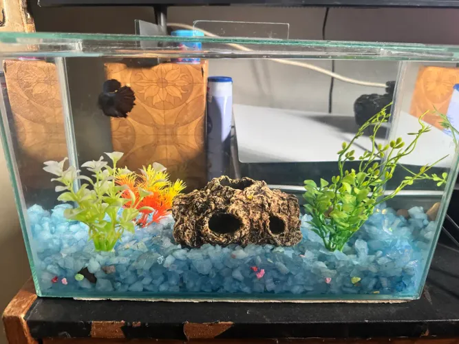 Aquário 30 litros 