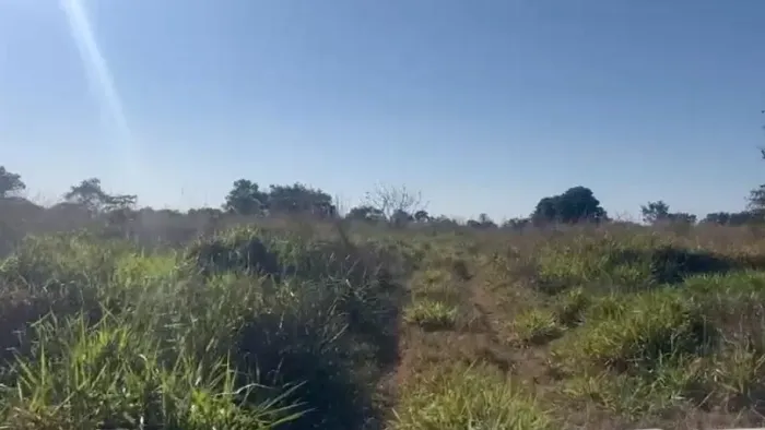 VENDO FAZENDA 123 HAC TREVO DE NOSSA SENHORA DO LIVRAMENTO