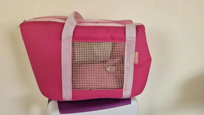 Bolsa pet de transporte
