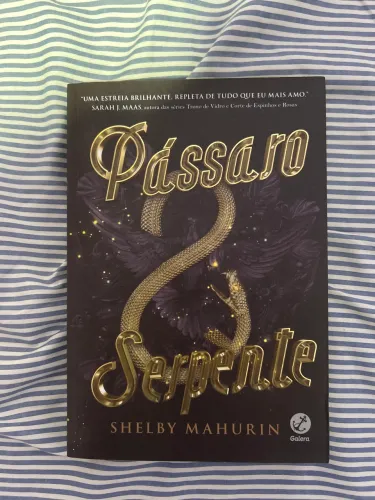 Pássaro e Serpente