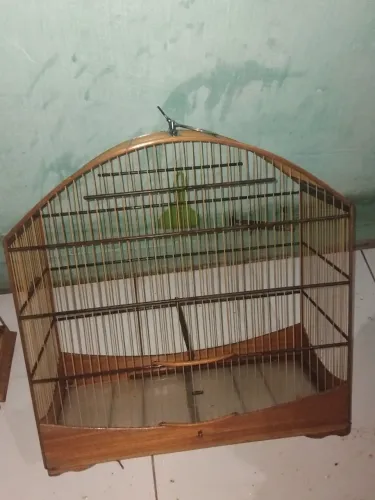 Gaiola