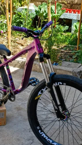 Bicicleta Hupi Naja Roxa