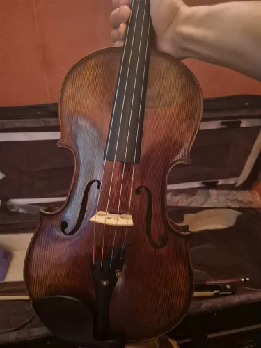 Viola de arco 
