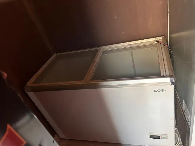 Freezer vertical