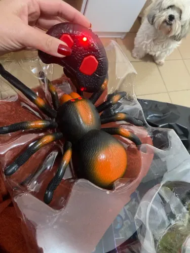 Aranha com controle remoto arrepio bichos assustadores