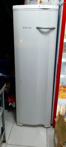 Freezer vertical