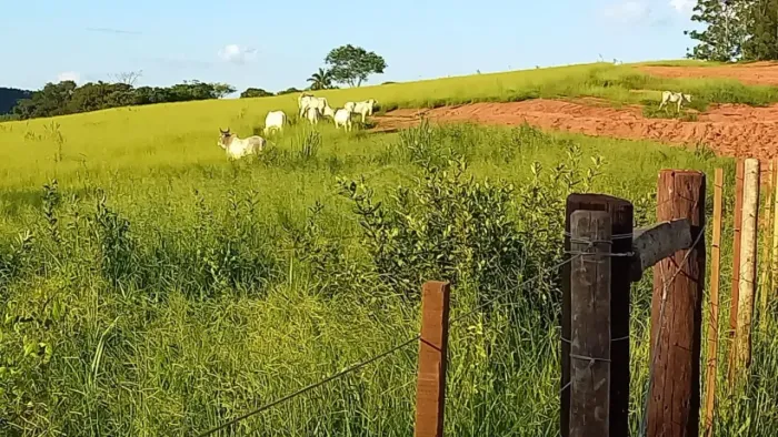 Terreno Área em Avaí