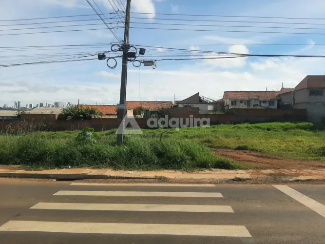 Terrenos lado a lado medindo 391,56m2 cada - Olarias
