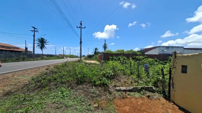 Terreno plano na estrada para São Miguel do Gostoso. Rota do Gostoso.