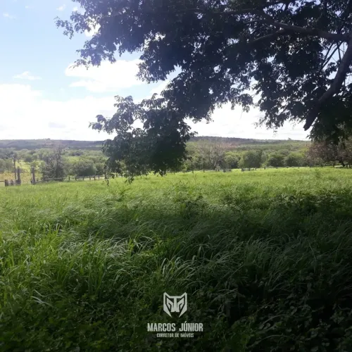 OPORTUNIDADE DE FAZENDA NO NORTE DE MINAS de 1700 HA NA REGIÃO DE SÃO FRANCISCO COM FACILI
