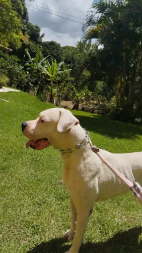 Doação 