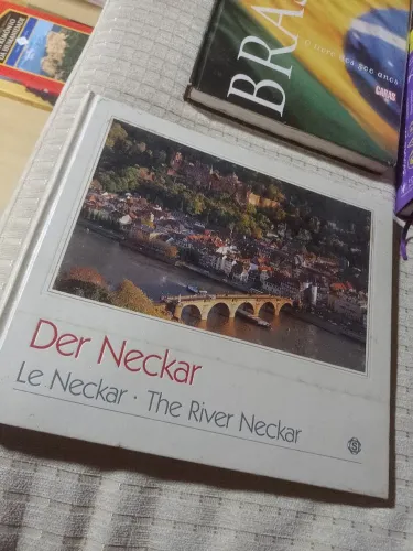 Der Neckar em alemão